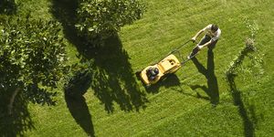 man mowing lawn with yellow lawn mower, types of grass, the most popular types of lawn grass, what type of grass to grow