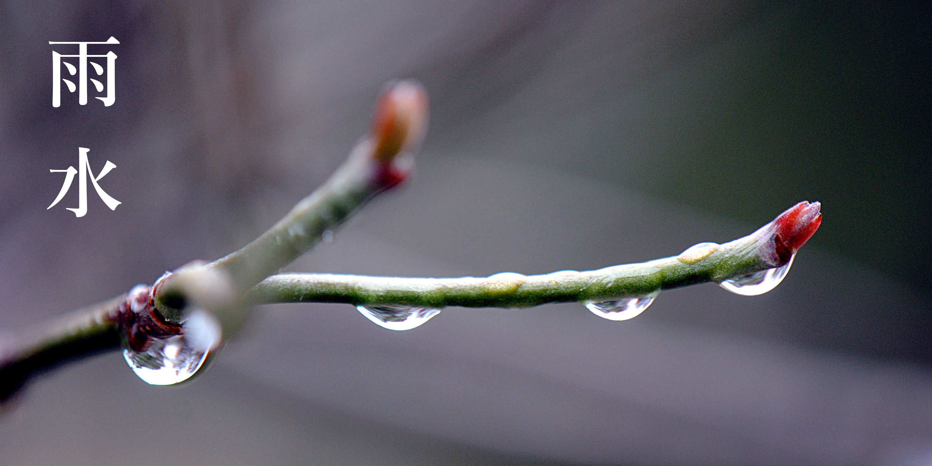 雨水】の歳時記丸わかり！今日はひな人形を飾るのによい日