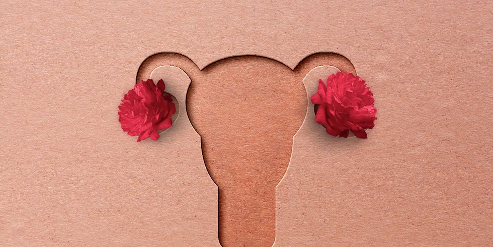 uterus un paper workpink background