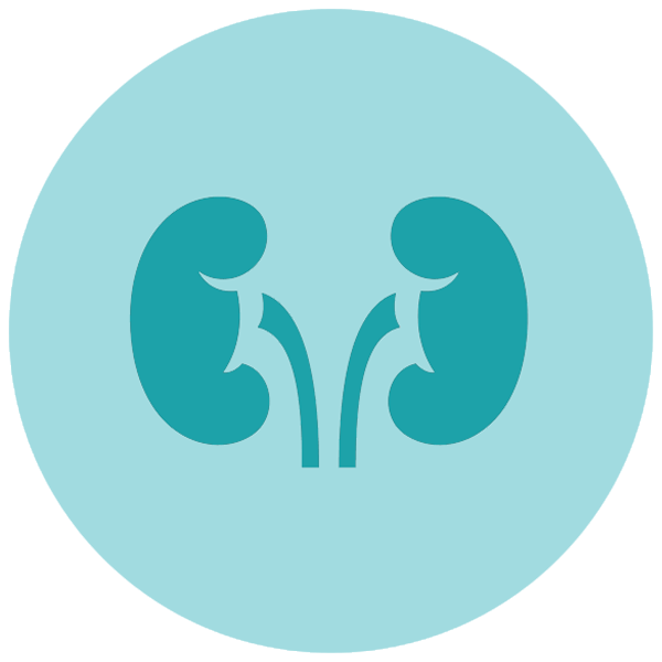 uti causes kidney stones
