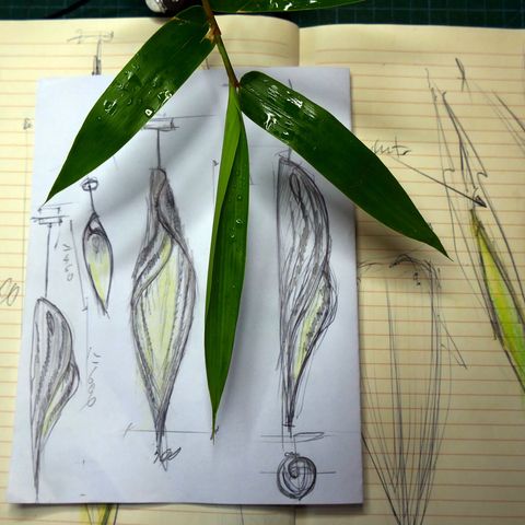sketchbook and leaf