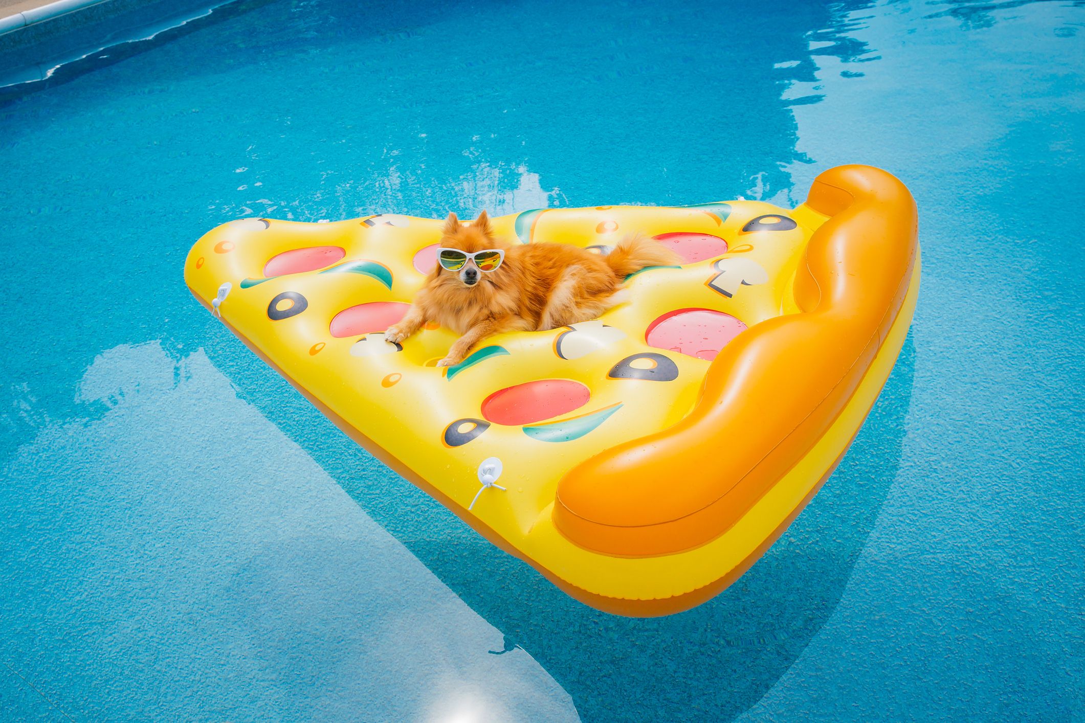 16 Funniest Pool Floats You Can Actually Buy Now