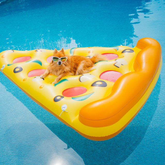 16 Funniest Pool Floats You Can Actually Buy Now
