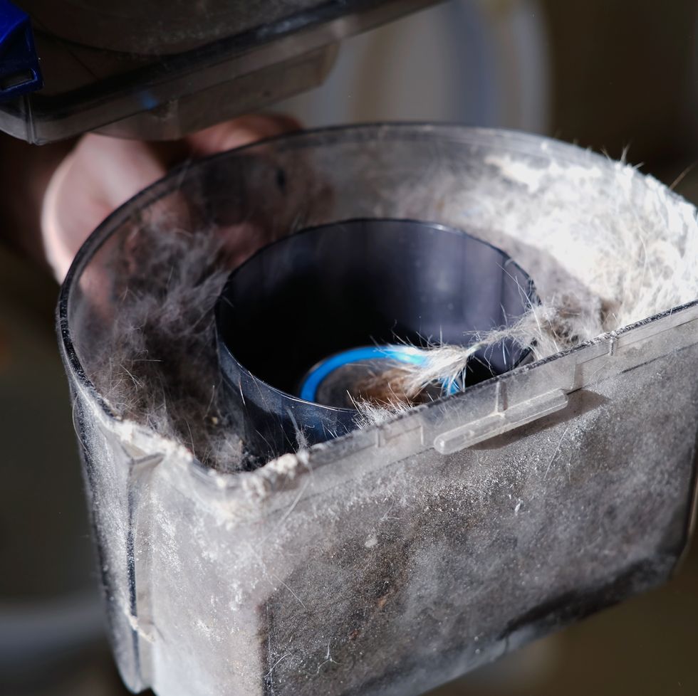 vacuum cleaner inside: dust box is full of cat or another pet hair or fur.