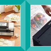 food vacuum sealers on counter with vegetables