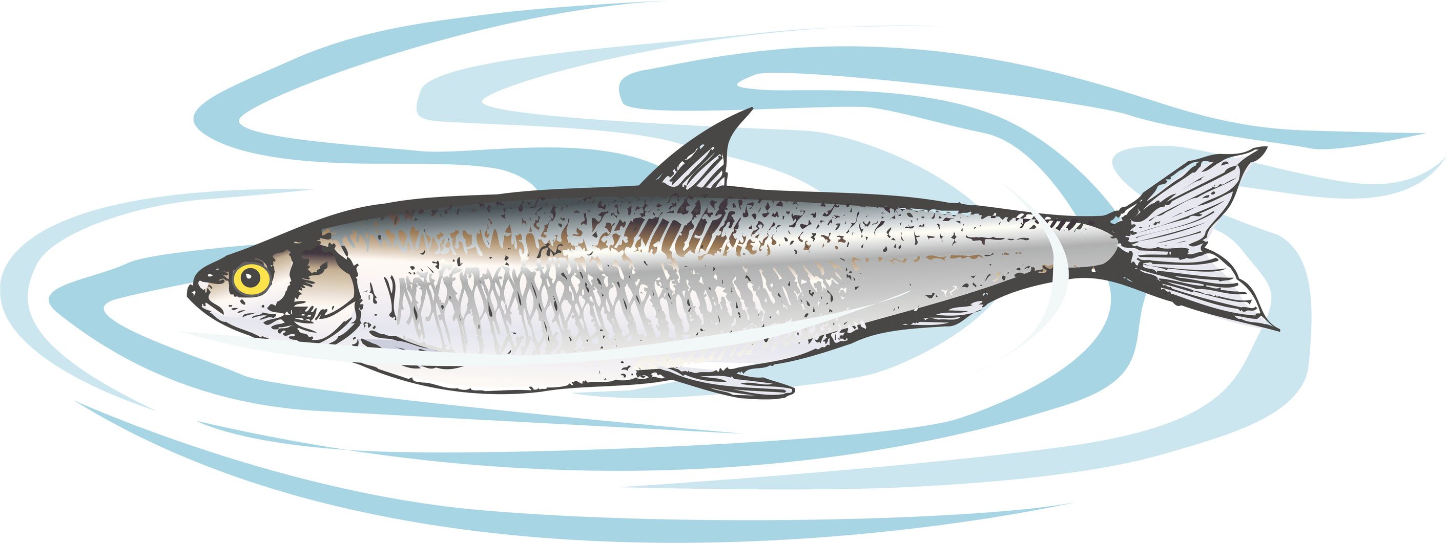 vagina smells fishy