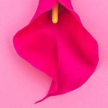 vagina health   signs your vulva needs a health check