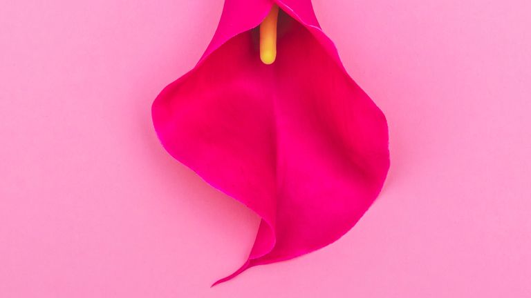 vagina health   signs your vulva needs a health check