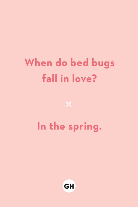 when do bed bugs fall in love in the spring