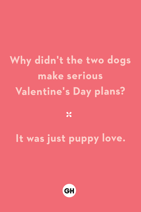why didn't the two dogs make serious valentine's day plans it was just puppy love