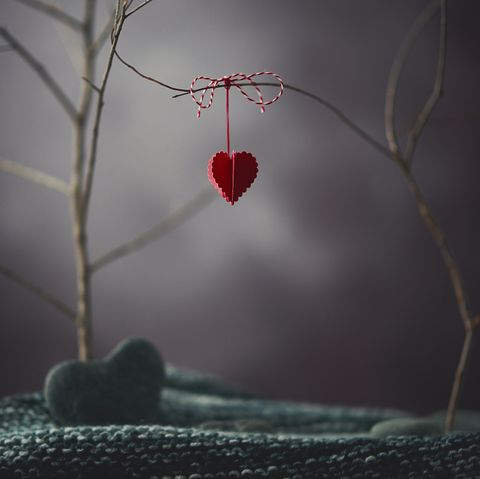 valentine heart hanging on twig trees