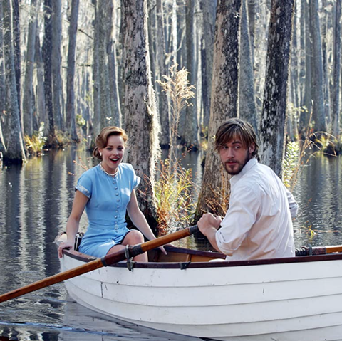 noah and allie from the notebook movie