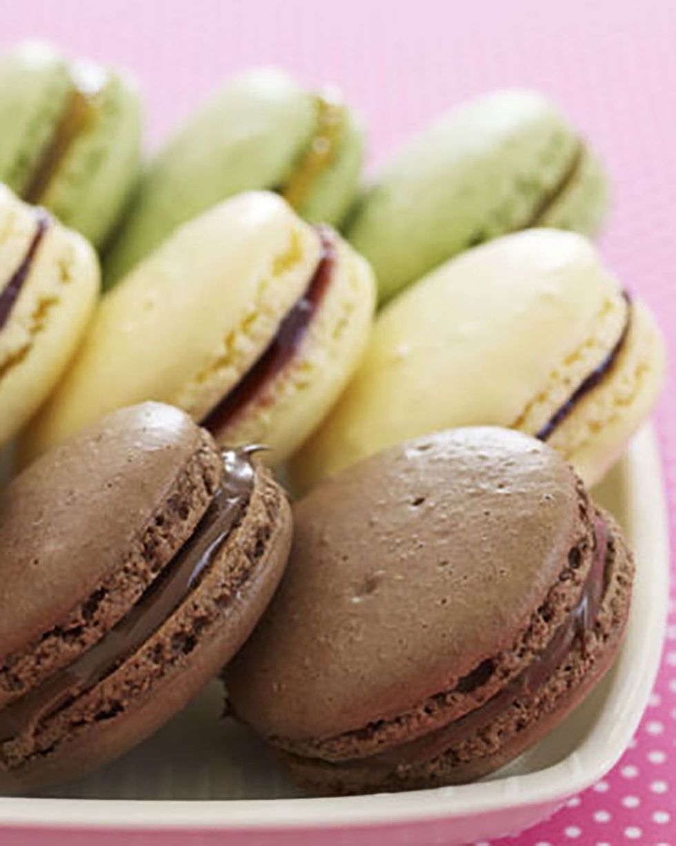chocolate hazelnut macarons lined up on a white serving plate