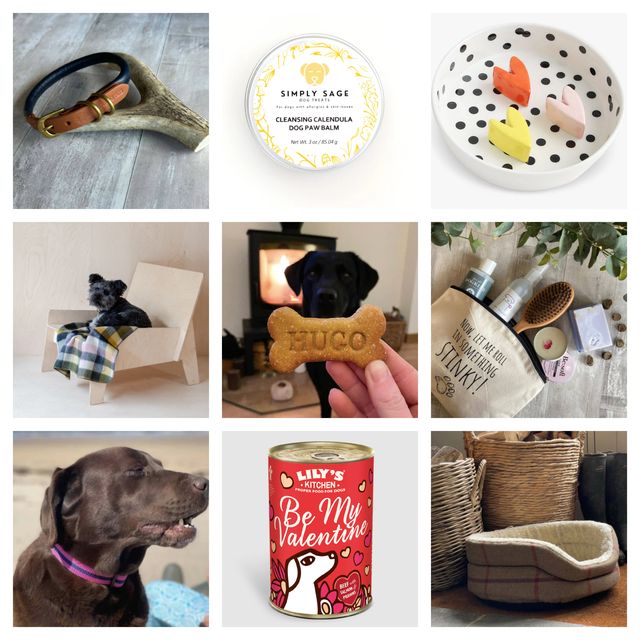 Best Valentine's Day Gifts for Dogs and Dog Lovers