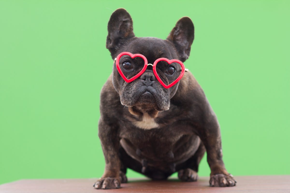 53 Best Valentine's Day Jokes and One Liners 2023