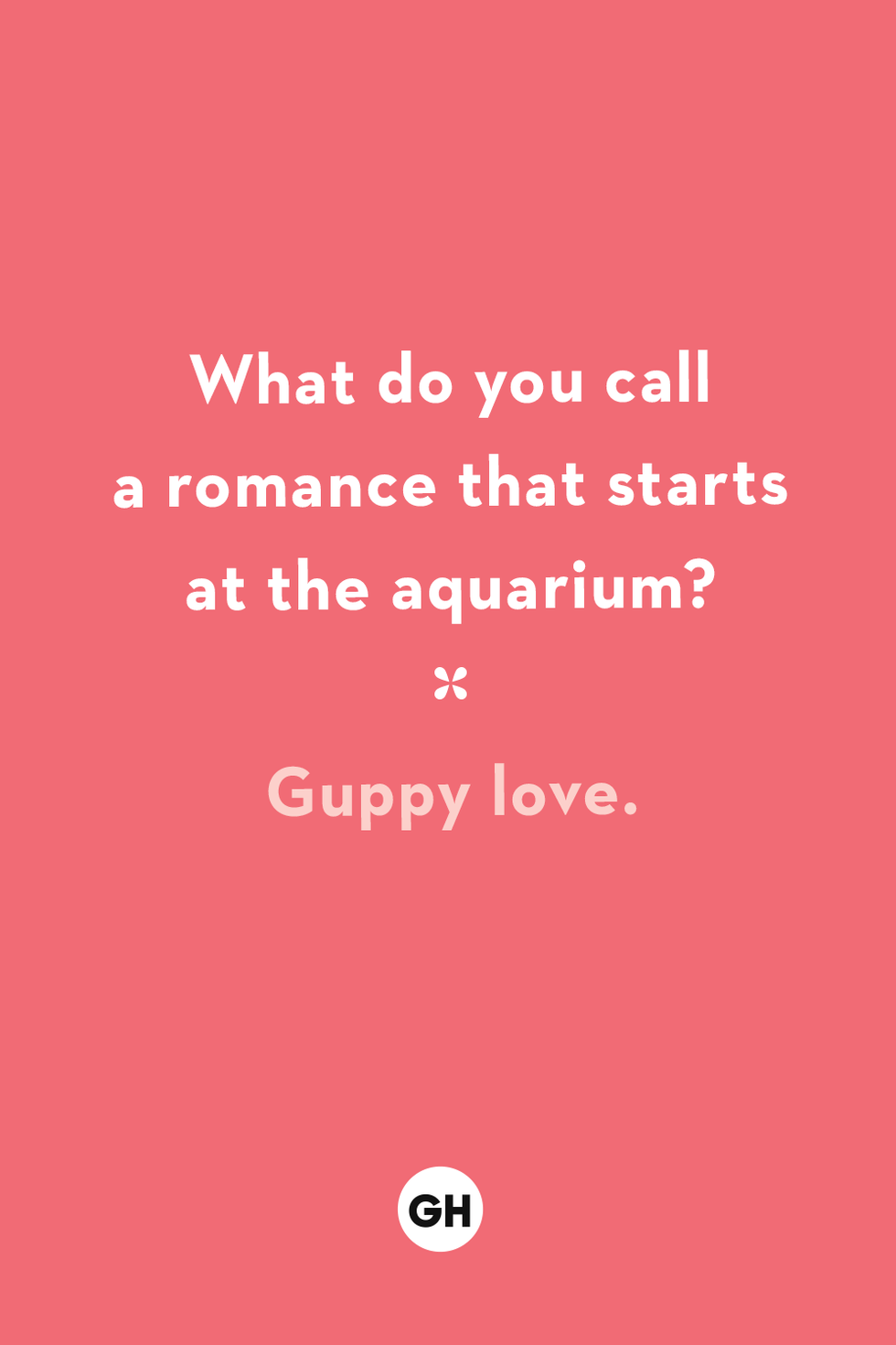 what do you call a romance that starts at the aquarium guppy love