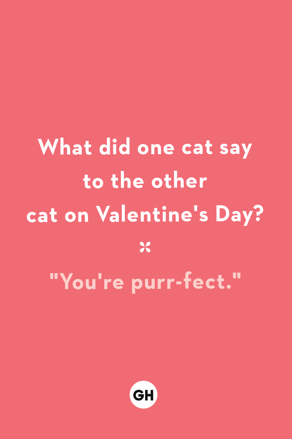 what did one cat say to the other cat on valentine's day you're purrfect