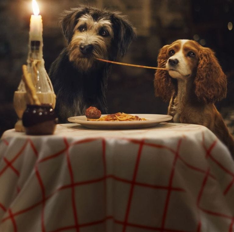 two dogs share a spaghetti noodle in a scene from the 2019 lady and the tramp, a good housekeeping pick for best valentine's day movie for kids