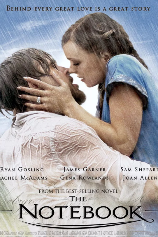 https://hips.hearstapps.com/hmg-prod/images/valentines-day-movies-the-notebook-1581090314.png?crop=1xw:0.9344827586206896xh;center,top&resize=980:*