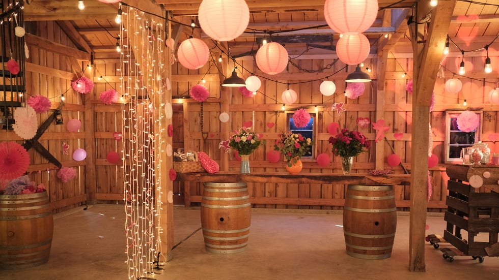 barn valentines day zoom background