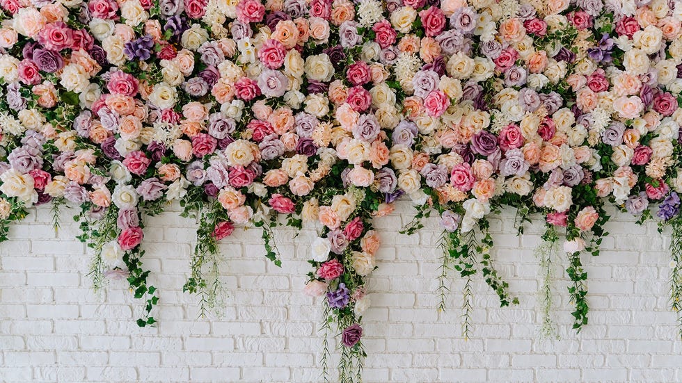 flower wall valentines day zoom backgrounds