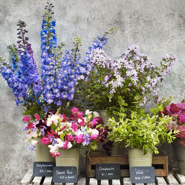 buckets of flowers on a wooden bench