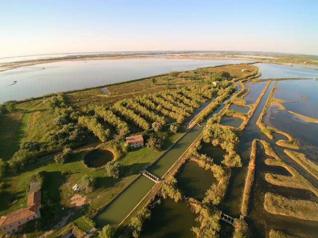 isla valle falconera en venecia