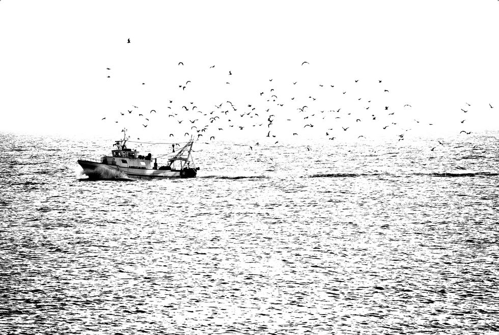 Boat, Vehicle, Water, Watercraft, Fishing vessel, Black-and-white, Stock photography, Sea, Photography, Boating, 