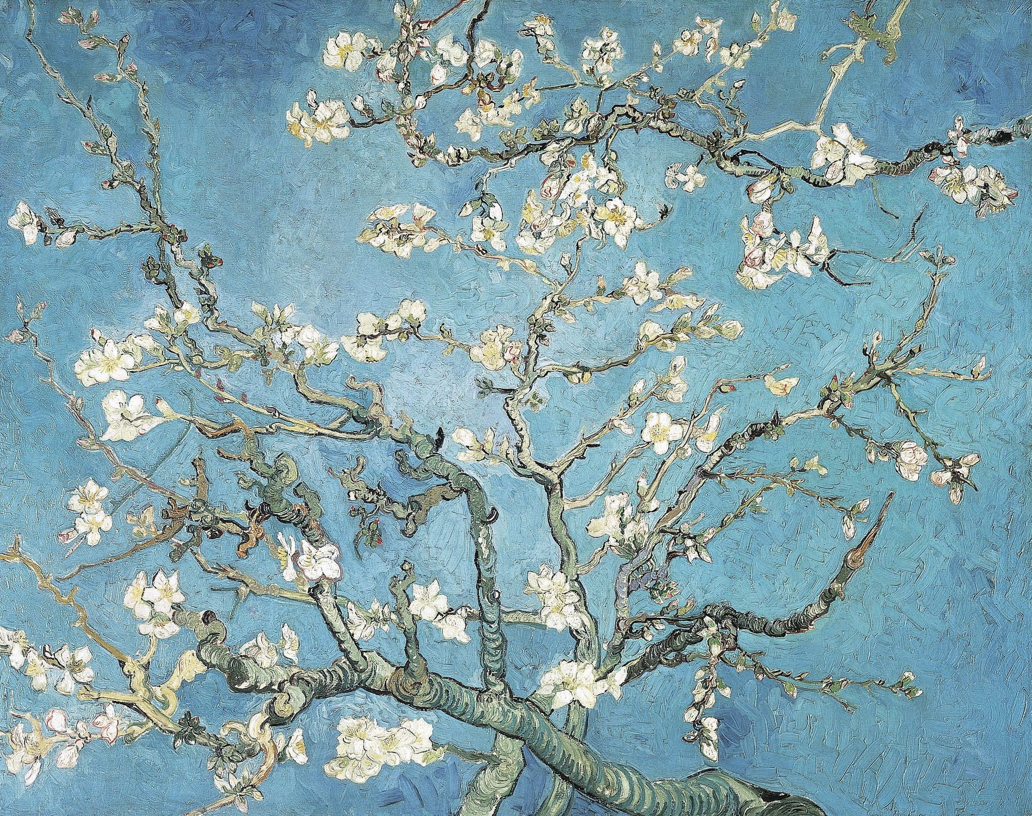 Van Gogh: tra le opere più famose questa appena scoperta