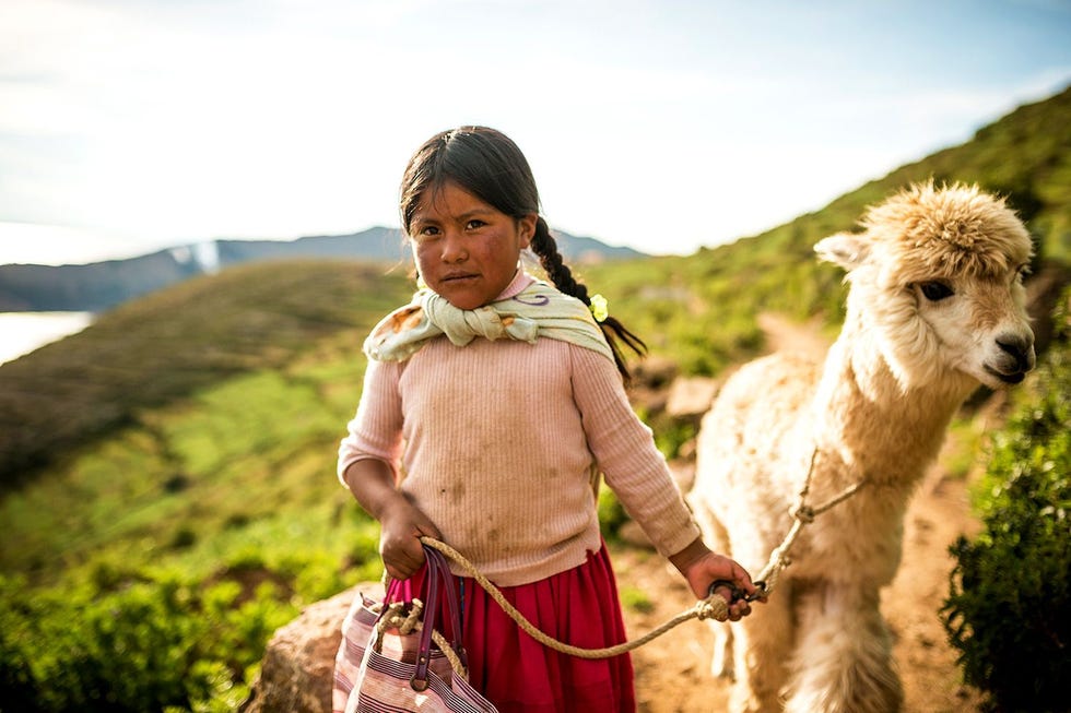 Een Boliviaans meisje met haar lama op Isla del Sol