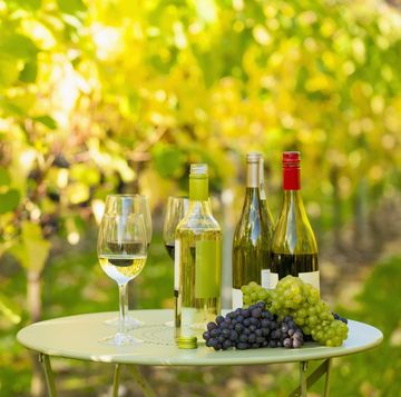 glazen en flessen wijn in een wijngaard