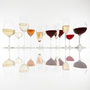 various glasses with wine, prosecco and champagne