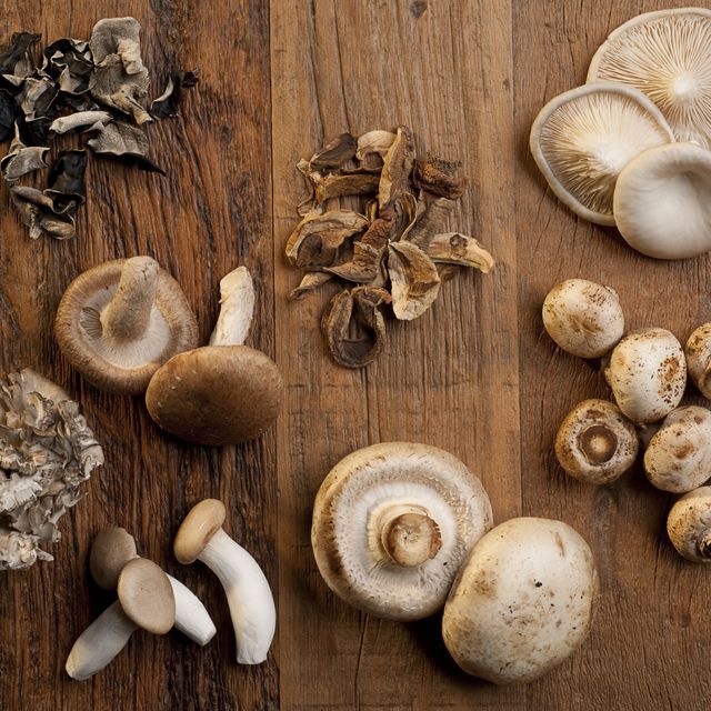 Various mushrooms used on cooking