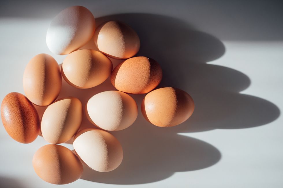 various types, colours, and shades of eggs casting shadows on a clean white surface conceptual with space for copy