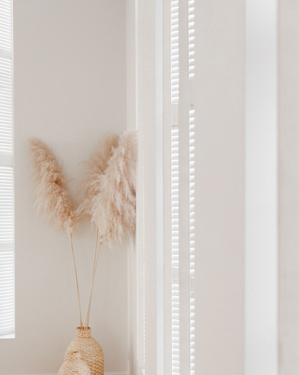 Ideas para decorar tu casa con pampas secas y cómo mantenerlas