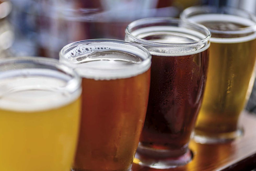 Vasos de cerveza