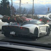 Put your Christmas tree on the rear wing