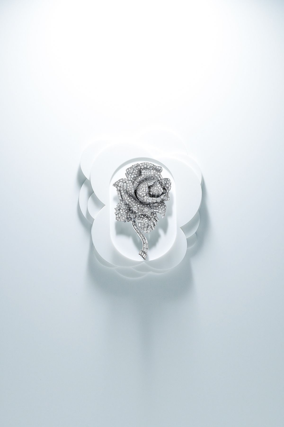 CARTIER ロイヤルジュエラー創作の歴史 カルティエ Cartier ロイヤル・ジュエラー 創造の歴史 美術出版