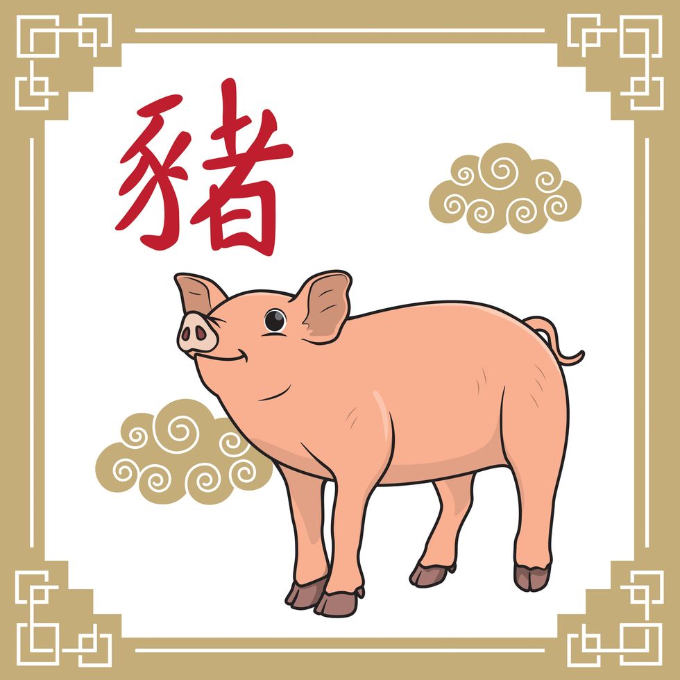 vector illustration year of the pig , the 12 chinese horoscope animals isolated on white background chinese calendar or chinese zodiac sign concept cartoon characters education and school kids coloring page, printable, activity, worksheet, flashcard