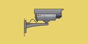 vector security camera