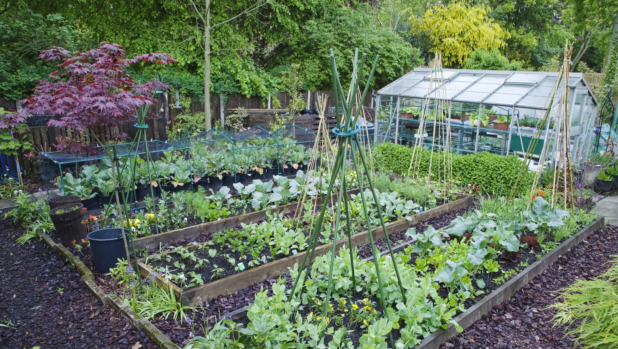 Botanica brings organic, edible gardens home