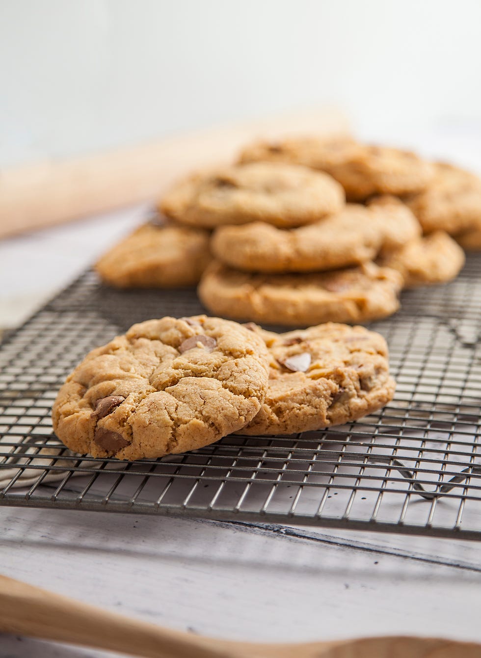 Food, Cuisine, Cookies and crackers, Dish, Snack, Pignolo, Peanut butter cookie, Snickerdoodle, Cookie, Baked goods, 