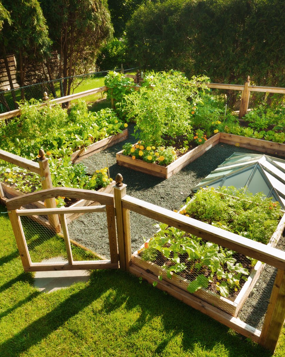 vegetable garden layouts