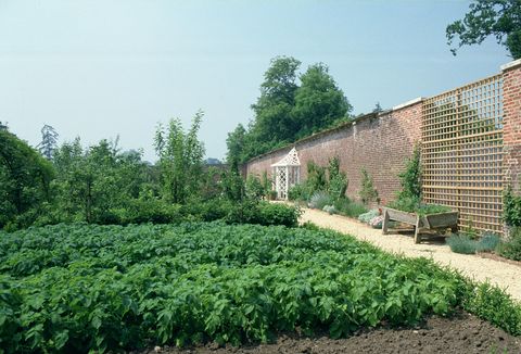 vegetable gardens at highgrove house