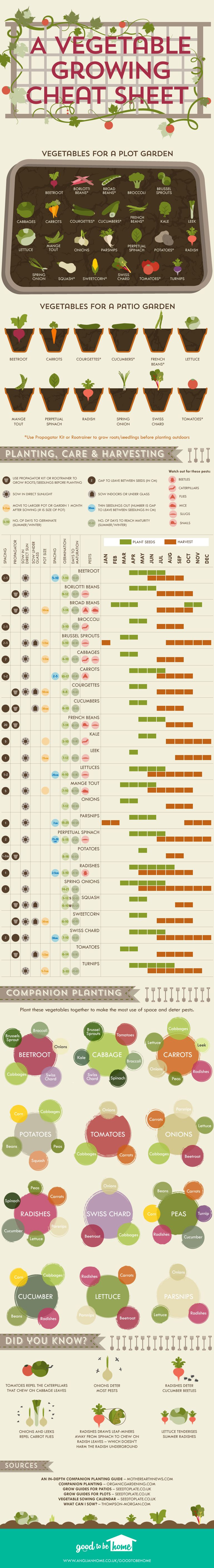 https://hips.hearstapps.com/hmg-prod/images/vegetable-growing-cheat-sheet-anglian-home-improvements-1525259387.jpg