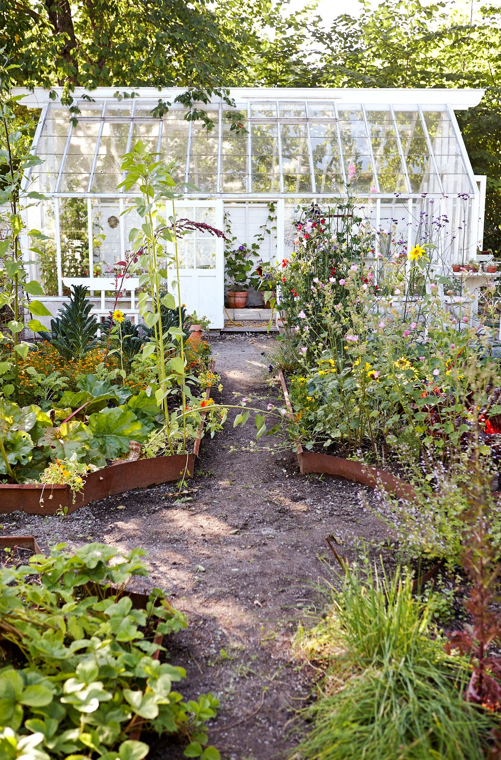 vegetable patch and greenhouse