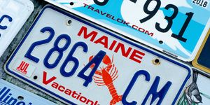 maine license plate lobster