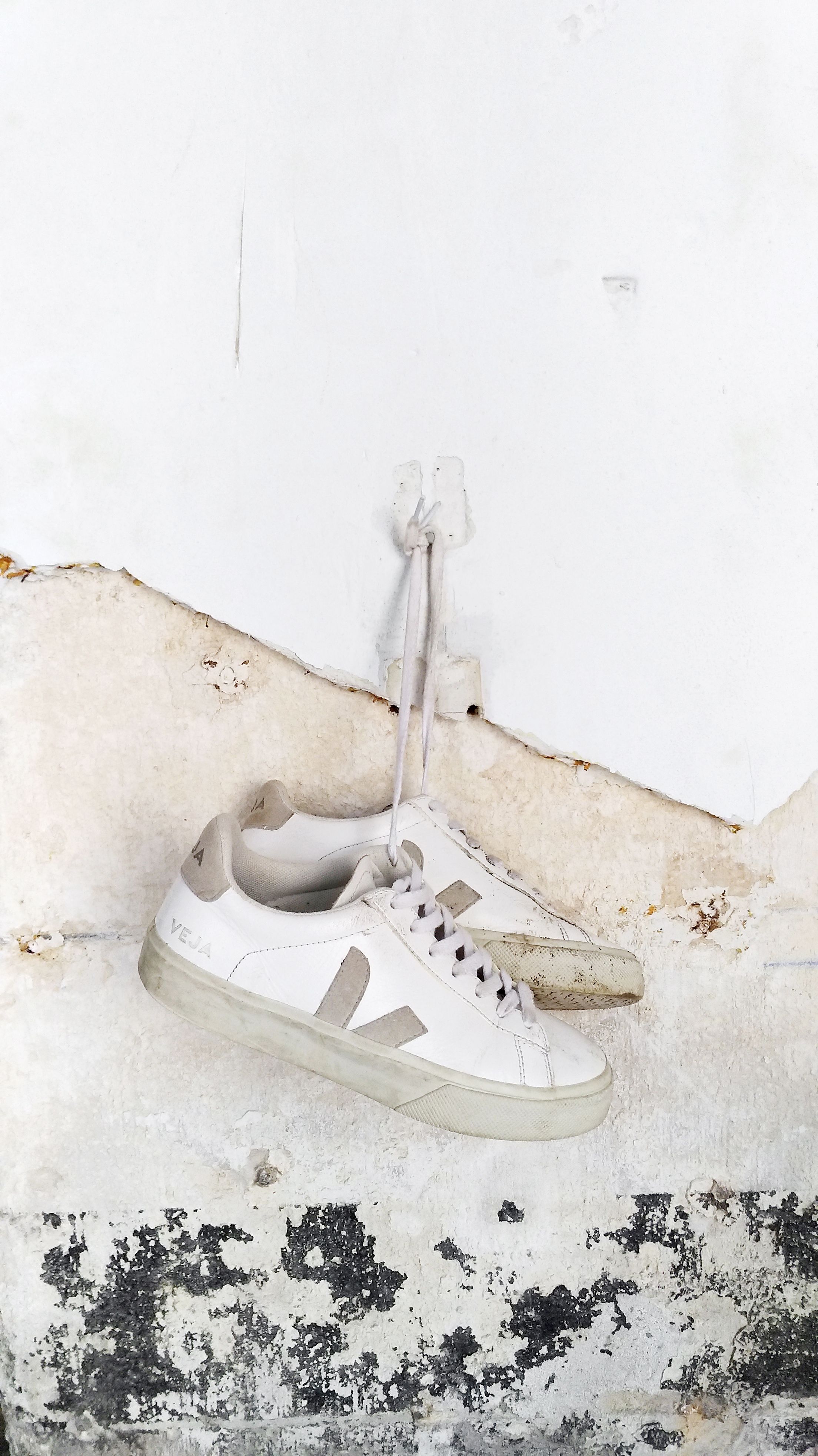 Veja store sneakers history