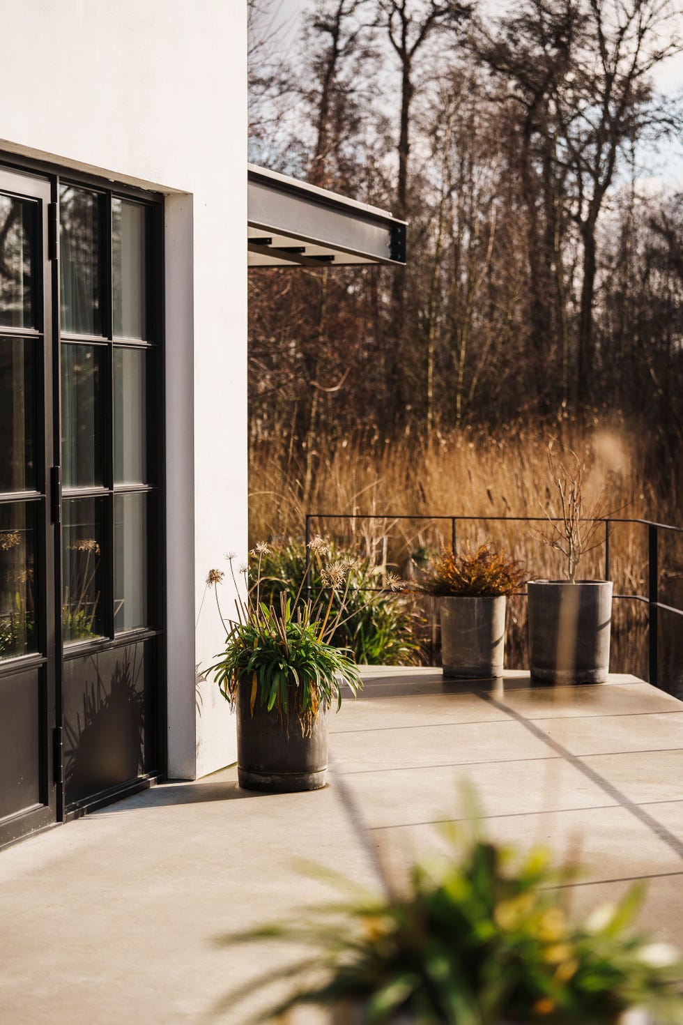 exterior view of a modern house with a patio and planters