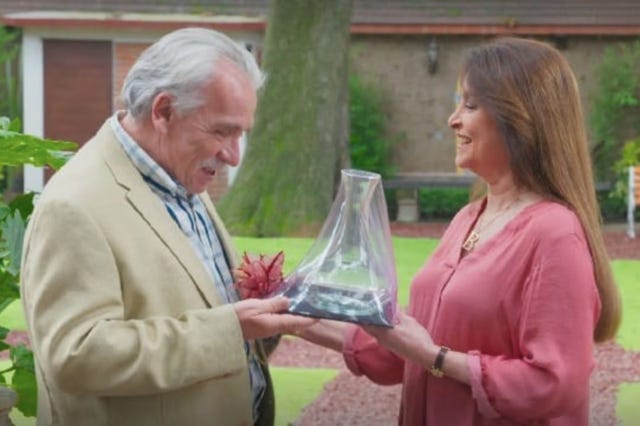 vencer el desamor estreno nova